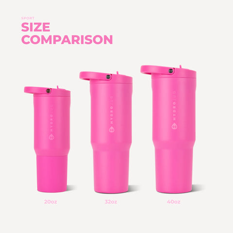 Sport 20oz | Insulated Water Bottle, Leakproof Flip Straw – Razzle