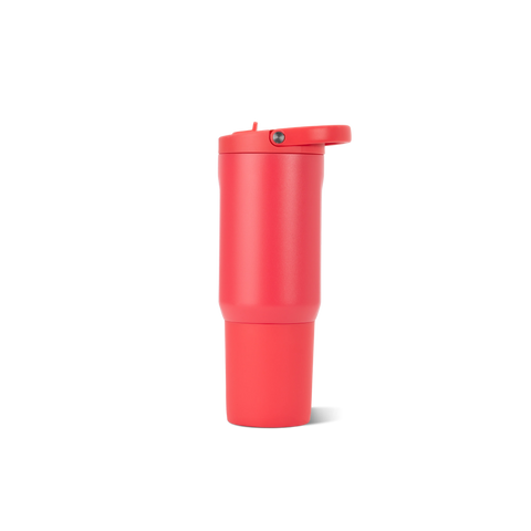 Sport 20oz | Insulated Water Bottle, Leakproof Flip Straw – Fruit Punch