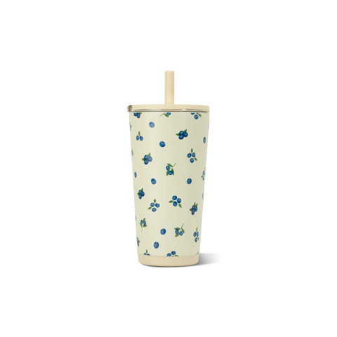 Everyday Tumbler 20oz | Ceramic-Lined Insulated Tumbler with Straw – Freshly Pick'd