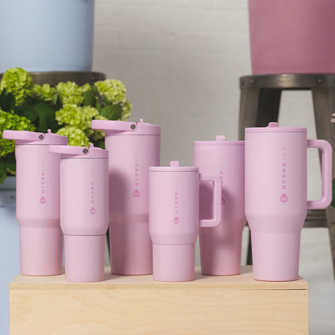 Sport 20oz | Insulated Water Bottle, Leakproof Flip Straw – Sweet Pea