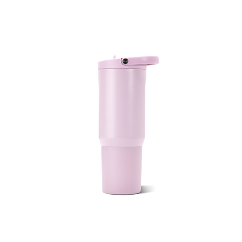 Sport 20oz | Insulated Water Bottle, Leakproof Flip Straw – Sweet Pea