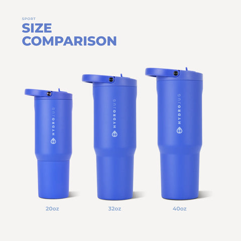 Sport 20oz | Insulated Water Bottle, Leakproof Flip Straw – Berry Pop